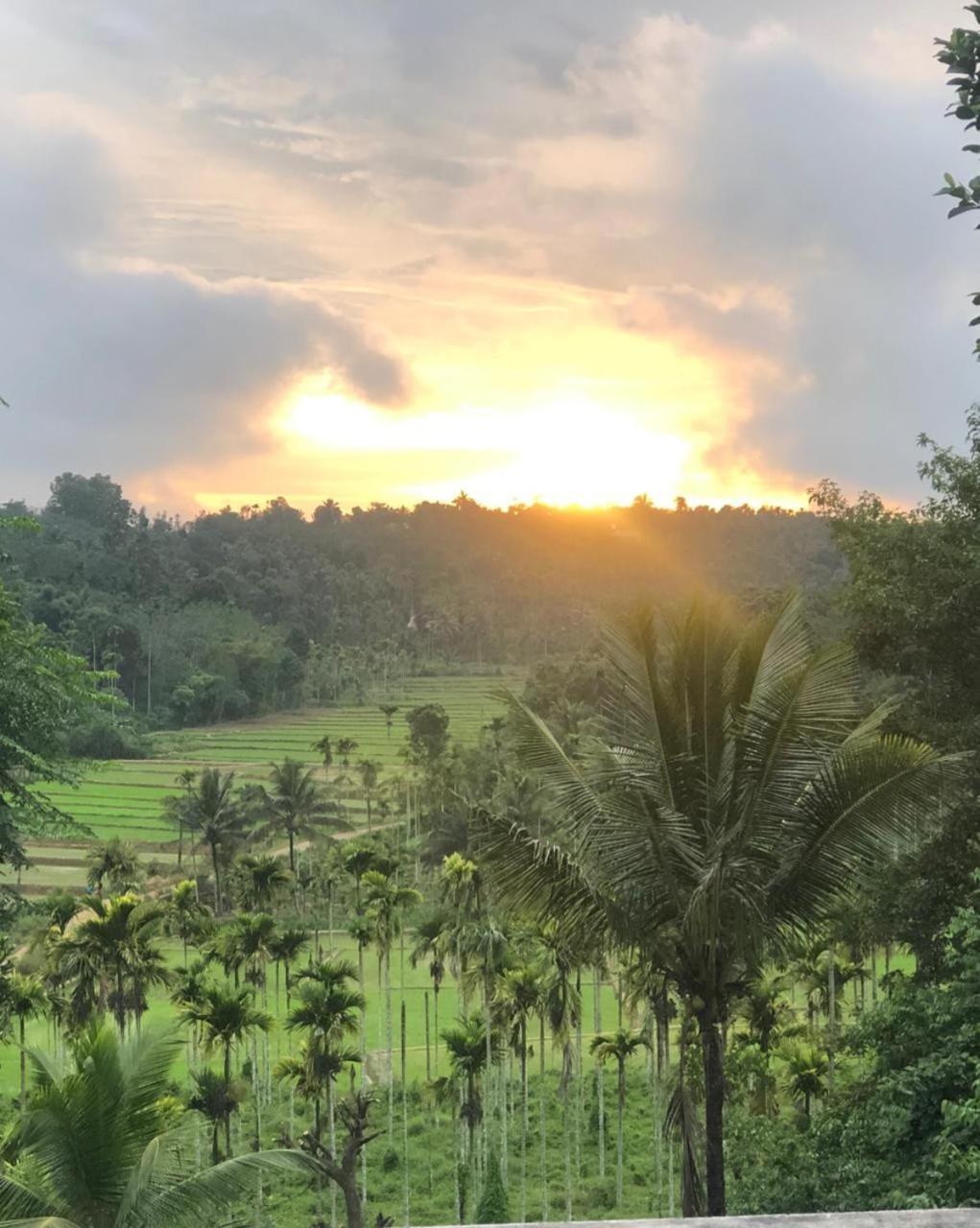 Angels Nest Home Stay 2 Acra Private Plantation Mountain Area Balconey Sunrice View Nearby Ngarhole Wild Life , Tholpetty Wild Life , Pakshipathalam Bird Santuary , Kuruva Island # Thirunelly & Thrissilery Temple Near By Secure Stay Wayanad Kerala Chegat ภายนอก รูปภาพ