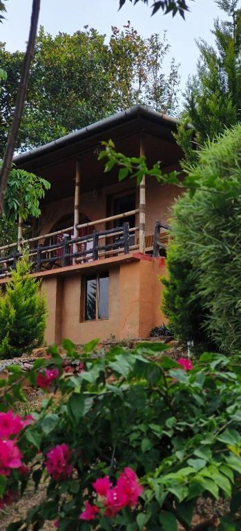 Angels Nest Home Stay 2 Acra Private Plantation Mountain Area Balconey Sunrice View Nearby Ngarhole Wild Life , Tholpetty Wild Life , Pakshipathalam Bird Santuary , Kuruva Island # Thirunelly & Thrissilery Temple Near By Secure Stay Wayanad Kerala Chegat ภายนอก รูปภาพ